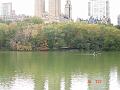 NJ_NY 198